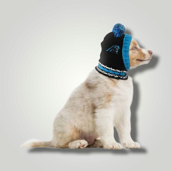NFL Carolina Panthers Team Pet Knit Hat Large NWT! - Picture 1 of 4